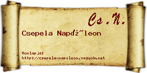 Csepela Napóleon névjegykártya